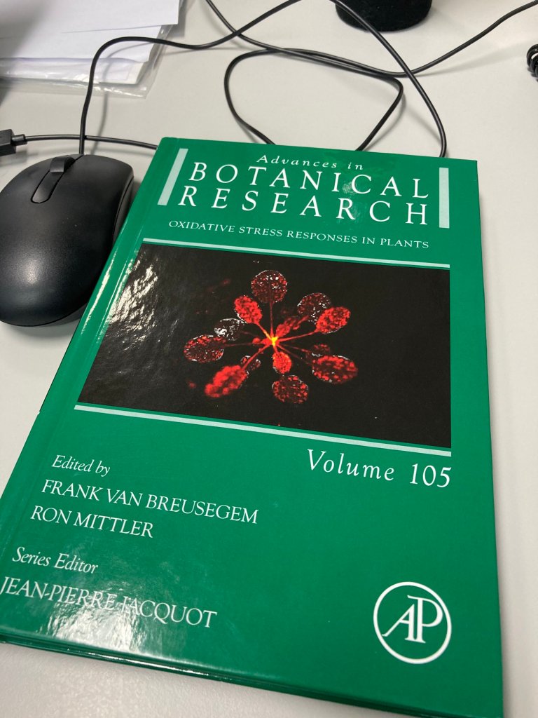 Source: Twitter account @frbre