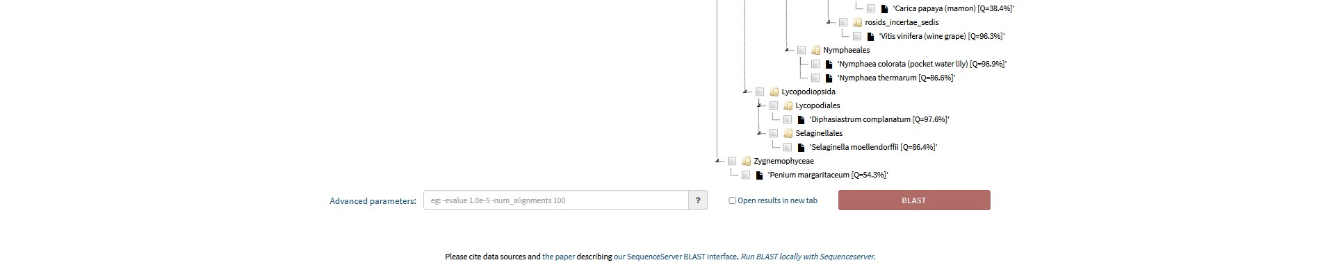 ICIPS BLAST – DFG Research Unit ICIPS (FOR 5098)